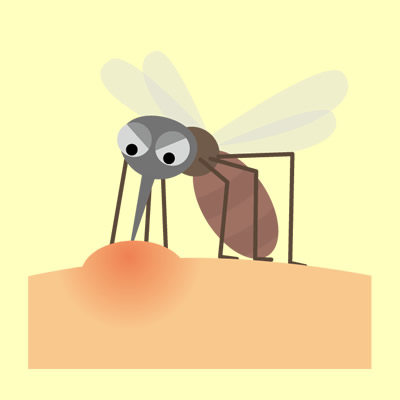 イラスト：虫刺され・虫刺症の症状
